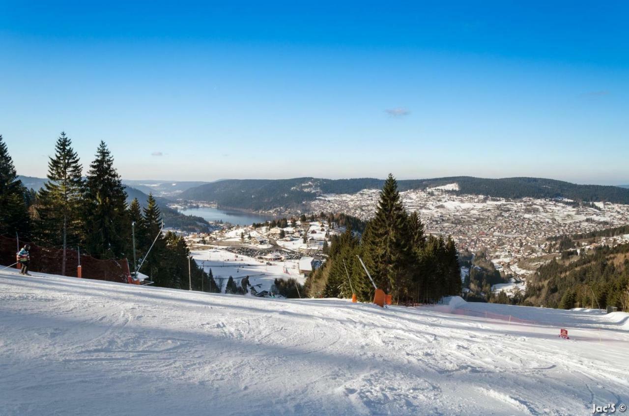 Duplex Bellevue * Gerardmer